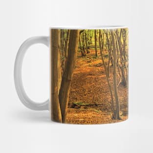 'The Dell' - Donyland Woods in September Mug